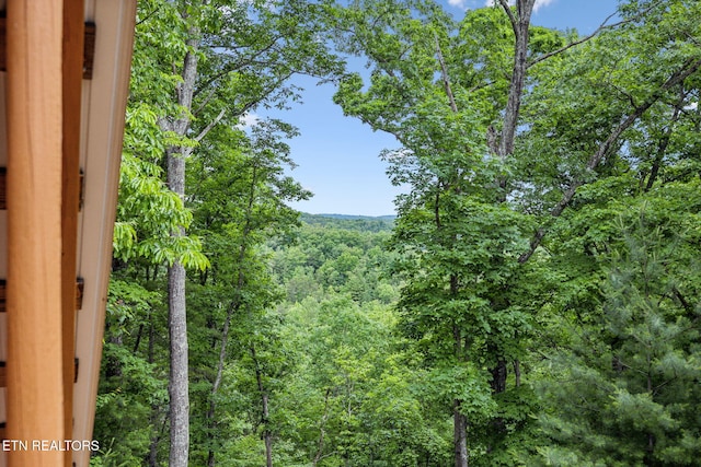 195 Gold Miners Rd, Tellico Plains, TN 37385 - photo 42