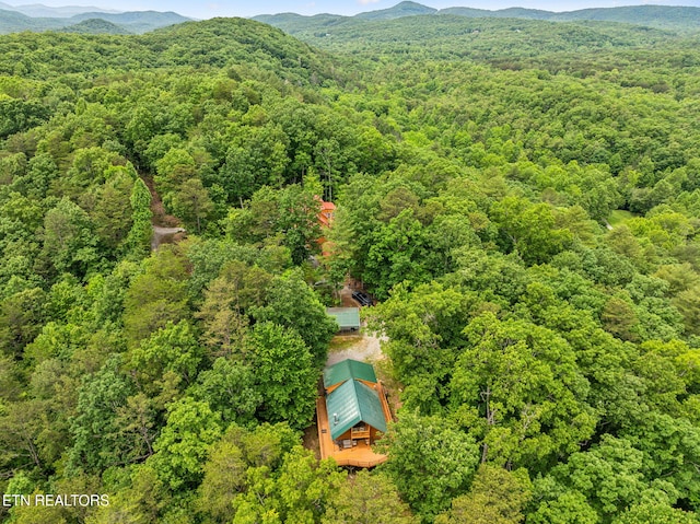195 Gold Miners Rd, Tellico Plains, TN 37385 - photo 43