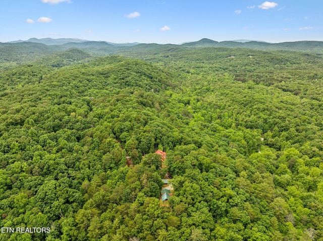 195 Gold Miners Rd, Tellico Plains, TN 37385 - photo 46