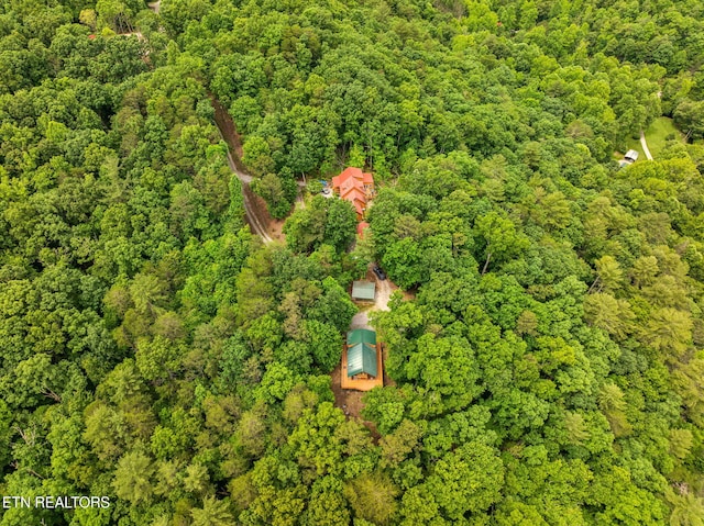 195 Gold Miners Rd, Tellico Plains, TN 37385 - photo 45