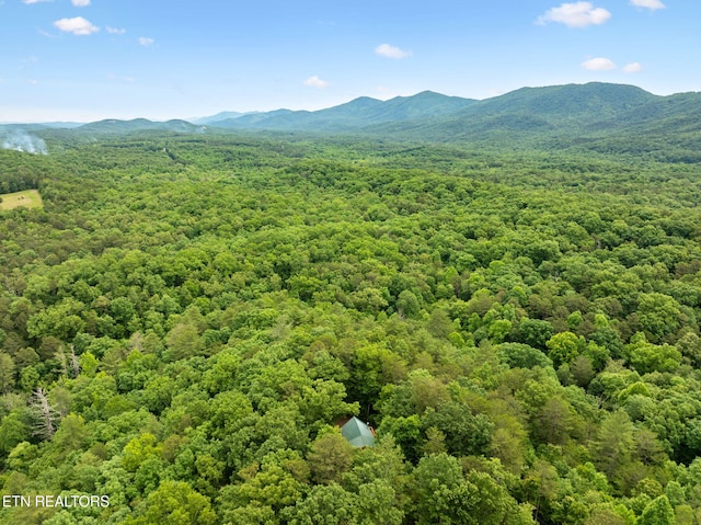 195 Gold Miners Rd, Tellico Plains, TN 37385 - photo 47