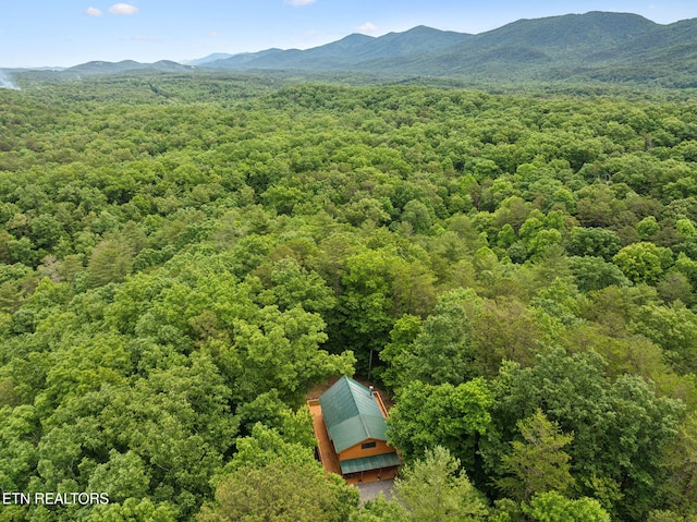 195 Gold Miners Rd, Tellico Plains, TN 37385 - photo 44