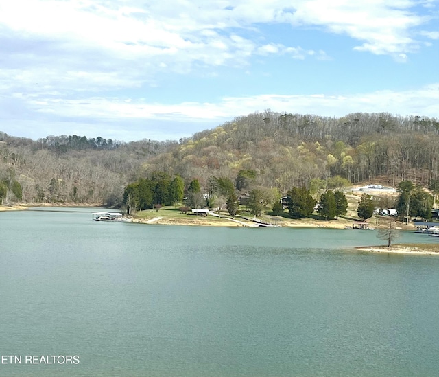 312 Waterside Cir, Andersonville, TN 37705 - photo 15