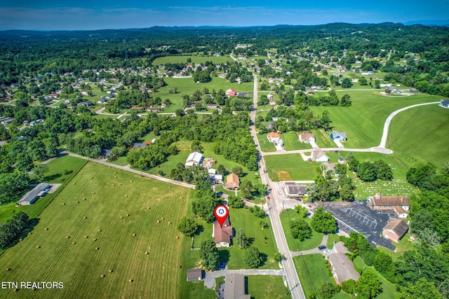 1299 Tazewell Pike, Corryton, TN 37721 - photo 40