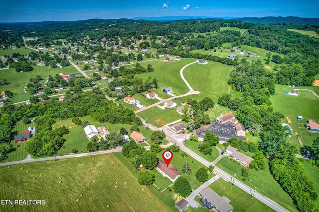 1299 Tazewell Pike, Corryton, TN 37721 - photo 41