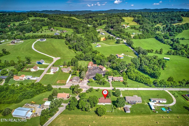 1299 Tazewell Pike, Corryton, TN 37721 - photo 42