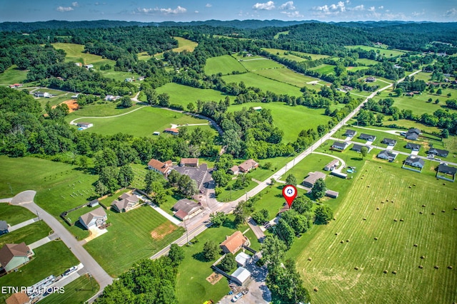 1299 Tazewell Pike, Corryton, TN 37721 - photo 43