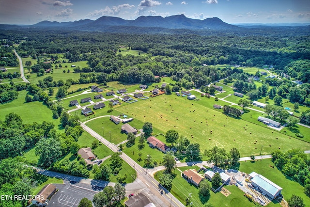 1299 Tazewell Pike, Corryton, TN 37721 - photo 45