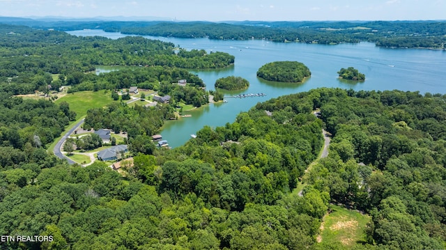 LOT29/30 E Shore Dr, Rockwood, TN 37854 - photo 2