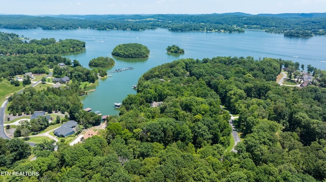 LOT29/30 E Shore Dr, Rockwood, TN 37854 - photo 4