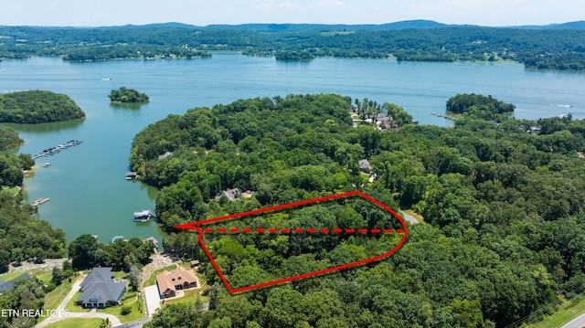 LOT29/30 E Shore Dr, Rockwood, TN 37854 - photo 5