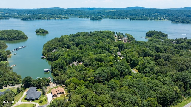 LOT29/30 E Shore Dr, Rockwood, TN 37854 - photo 6