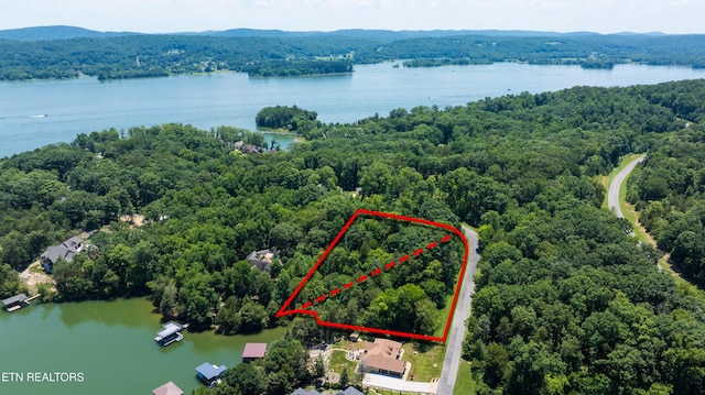 LOT29/30 E Shore Dr, Rockwood, TN 37854 - photo 7