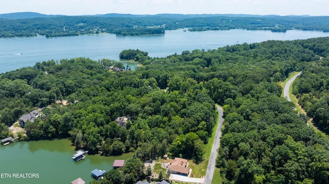 LOT29/30 E Shore Dr, Rockwood, TN 37854 - photo 8