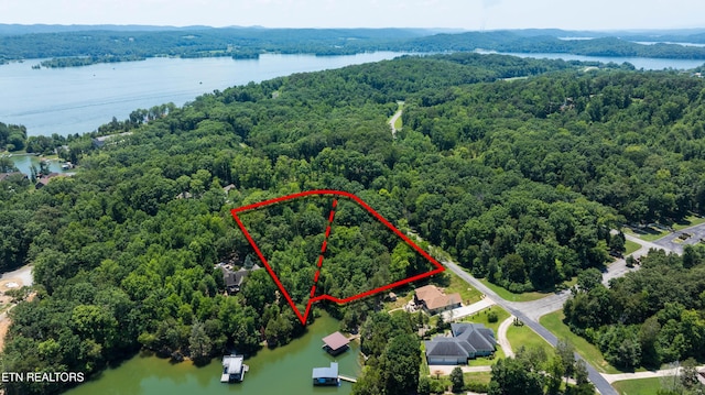 LOT29/30 E Shore Dr, Rockwood, TN 37854 - photo 9