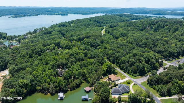LOT29/30 E Shore Dr, Rockwood, TN 37854 - photo 10
