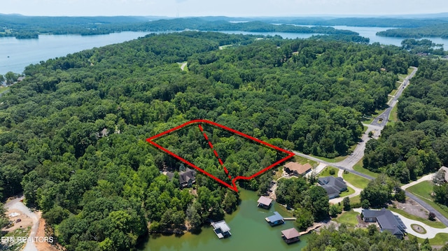 LOT29/30 E Shore Dr, Rockwood, TN 37854 - photo 11