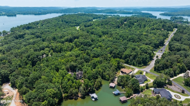 LOT29/30 E Shore Dr, Rockwood, TN 37854 - photo 12