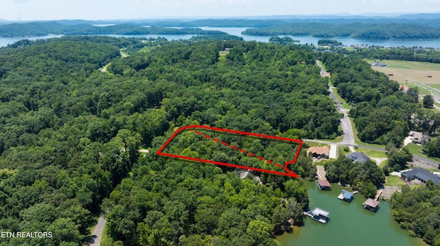 LOT29/30 E Shore Dr, Rockwood, TN 37854 - photo 13