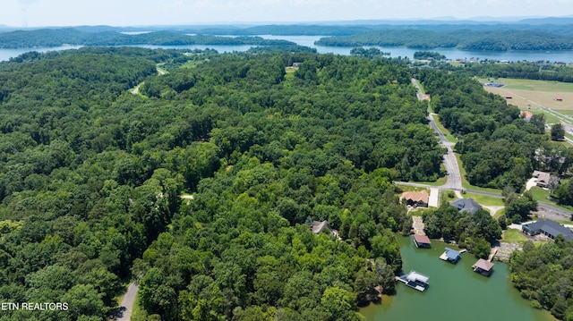 LOT29/30 E Shore Dr, Rockwood, TN 37854 - photo 14