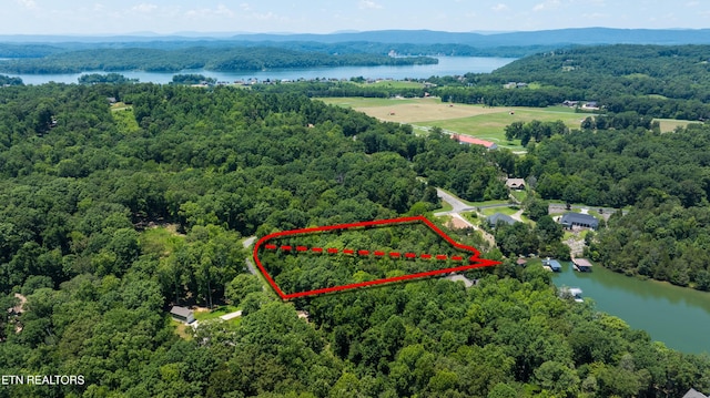 LOT29/30 E Shore Dr, Rockwood, TN 37854 - photo 15