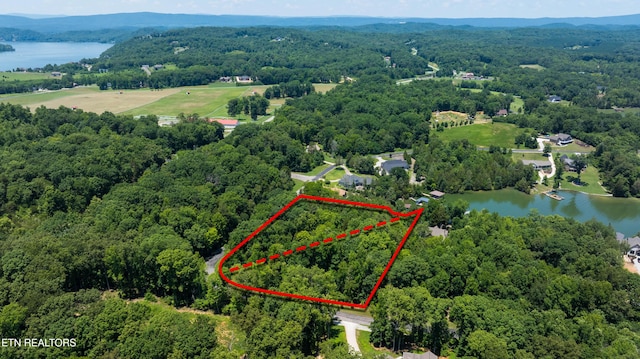 LOT29/30 E Shore Dr, Rockwood, TN 37854 - photo 17
