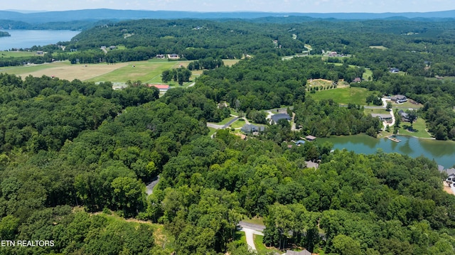 LOT29/30 E Shore Dr, Rockwood, TN 37854 - photo 18