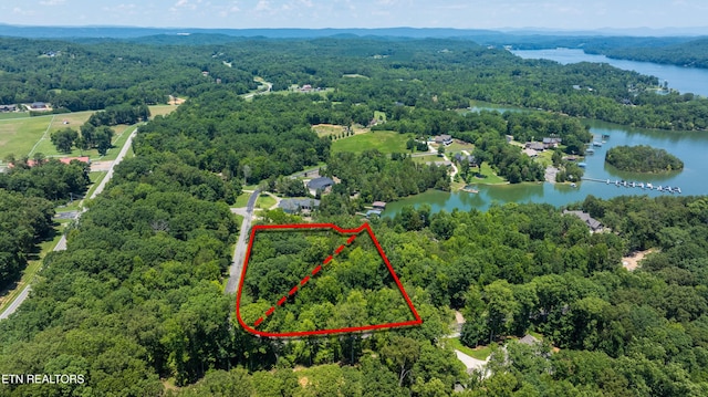 LOT29/30 E Shore Dr, Rockwood, TN 37854 - photo 19