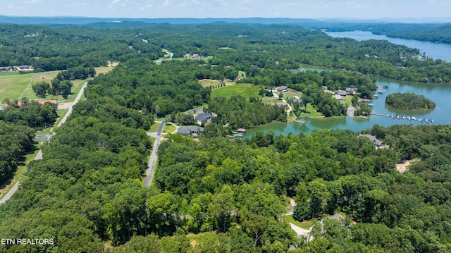 LOT29/30 E Shore Dr, Rockwood, TN 37854 - photo 20