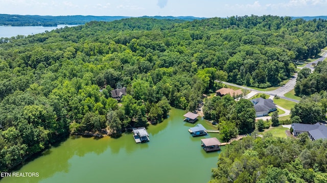 LOT29/30 E Shore Dr, Rockwood, TN 37854 - photo 22