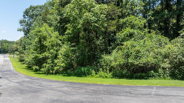 LOT29/30 E Shore Dr, Rockwood, TN 37854 - photo 24