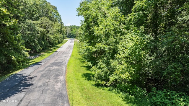 LOT29/30 E Shore Dr, Rockwood, TN 37854 - photo 25