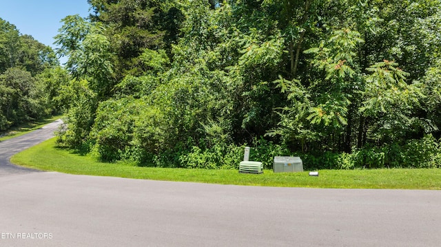 LOT29/30 E Shore Dr, Rockwood, TN 37854 - photo 26
