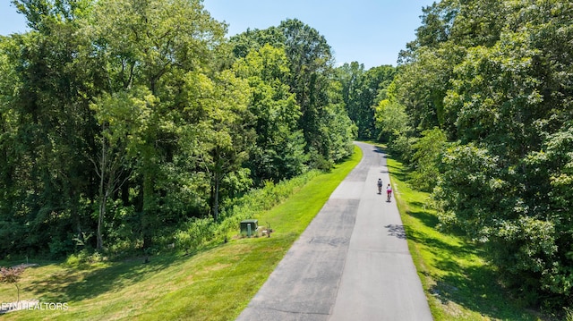 LOT29/30 E Shore Dr, Rockwood, TN 37854 - photo 27