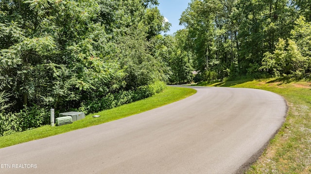 LOT29/30 E Shore Dr, Rockwood, TN 37854 - photo 28
