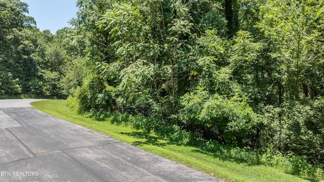 LOT29/30 E Shore Dr, Rockwood, TN 37854 - photo 29