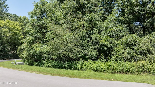 LOT29/30 E Shore Dr, Rockwood, TN 37854 - photo 30