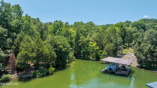 LOT29/30 E Shore Dr, Rockwood, TN 37854 - photo 31