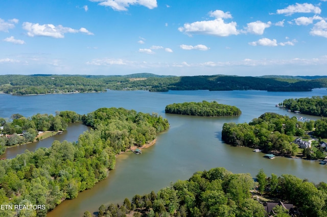 LOT29/30 E Shore Dr, Rockwood, TN 37854 - photo 38
