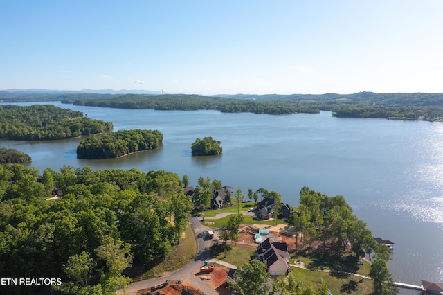 LOT29/30 E Shore Dr, Rockwood, TN 37854 - photo 41