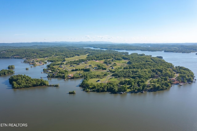 LOT29/30 E Shore Dr, Rockwood, TN 37854 - photo 42