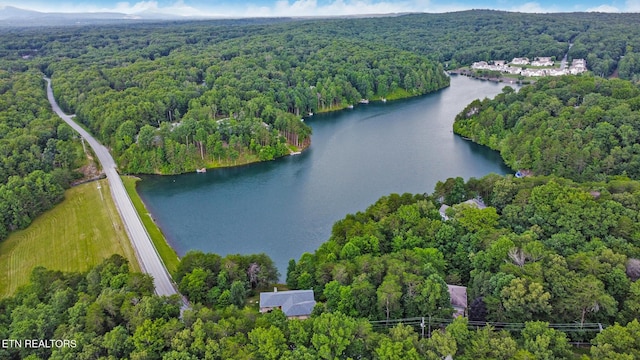 362 Westchester Dr, Fairfield Glade, TN 38558 - photo 4
