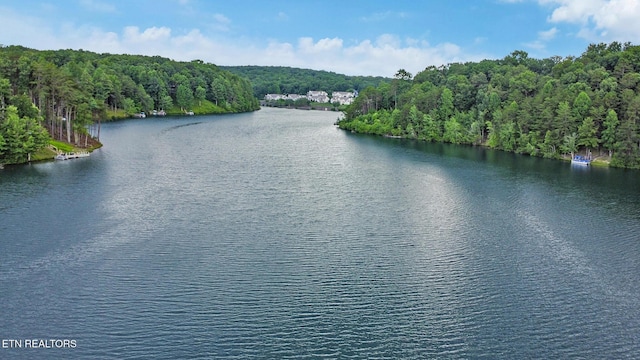 362 Westchester Dr, Fairfield Glade, TN 38558 - photo 6