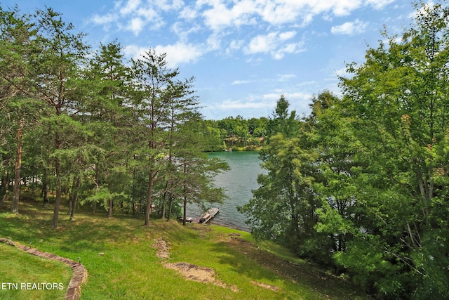 362 Westchester Dr, Fairfield Glade, TN 38558 - photo 50