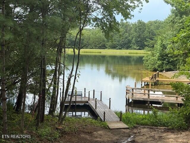 16 Pomeroy Ct, Crossville, TN 38558 - photo 60