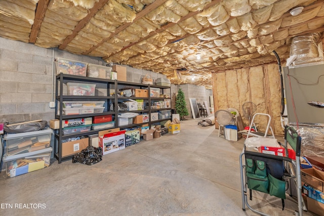 404 Chota Landing Way, Loudon, TN 37774 - view of storage area