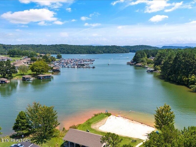 404 Chota Landing Way, Loudon, TN 37774 - water view featuring a heavily wooded area