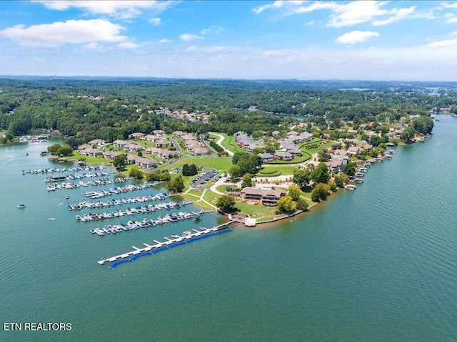 404 Chota Landing Way, Loudon, TN 37774 - bird's eye view of a large body of water