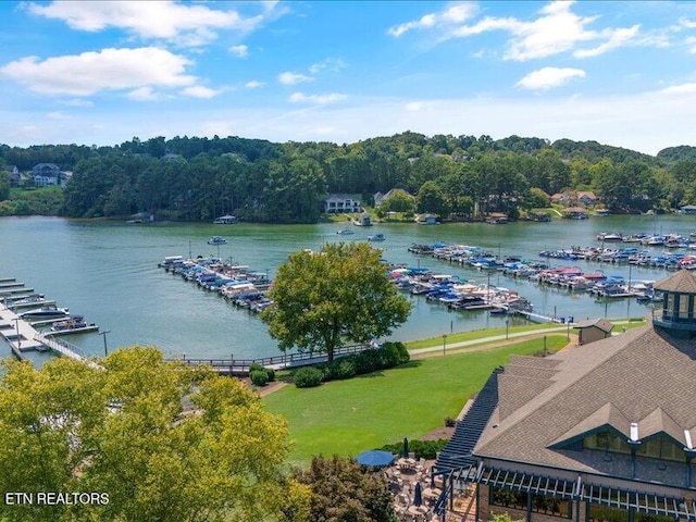 404 Chota Landing Way, Loudon, TN 37774 - water view featuring numerous boat docks