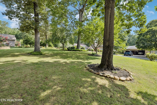 334 Oostanali Cir, Loudon, TN 37774 - photo 16